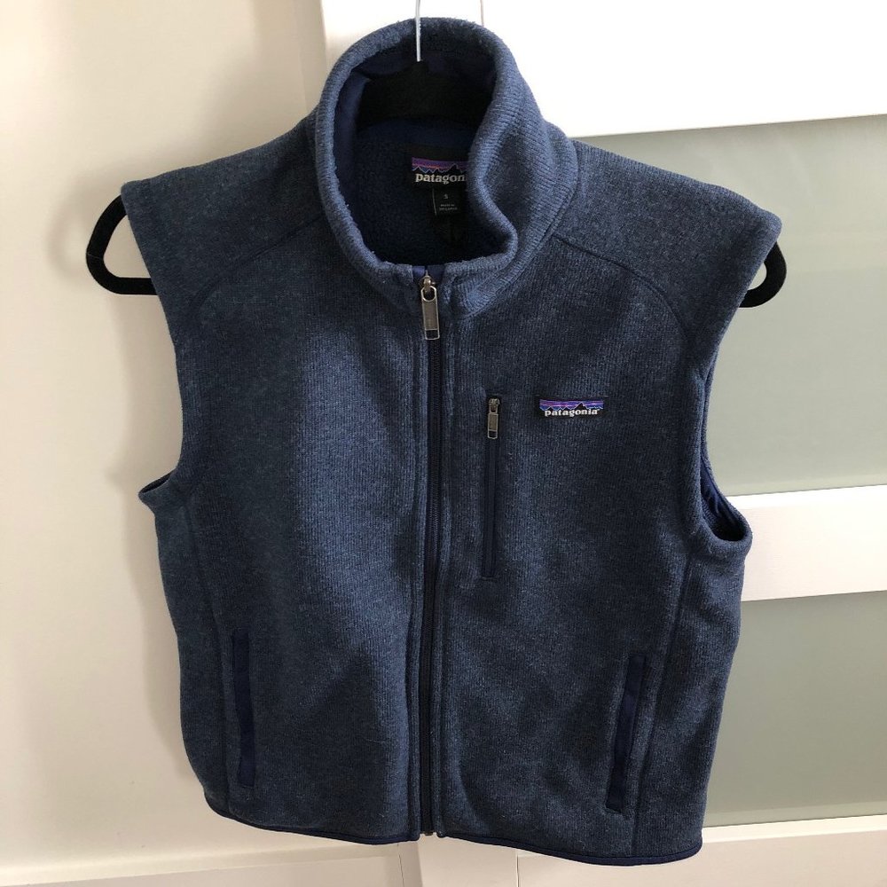 Patagonia Men's Blue Fleece Vest